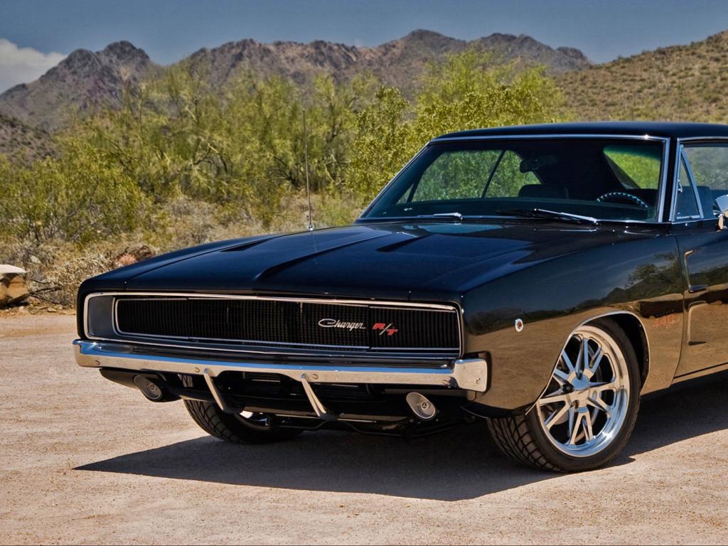 Dodge Charger #14