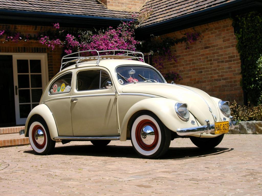 VW Beetle #12