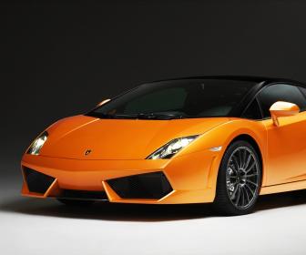 Lamborghini Gallardo next