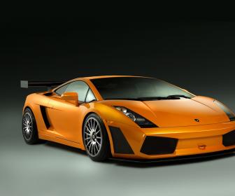 Lamborghini Gallardo next